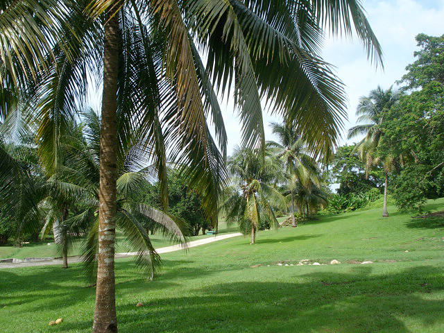 flexible Golf at Tryall Club